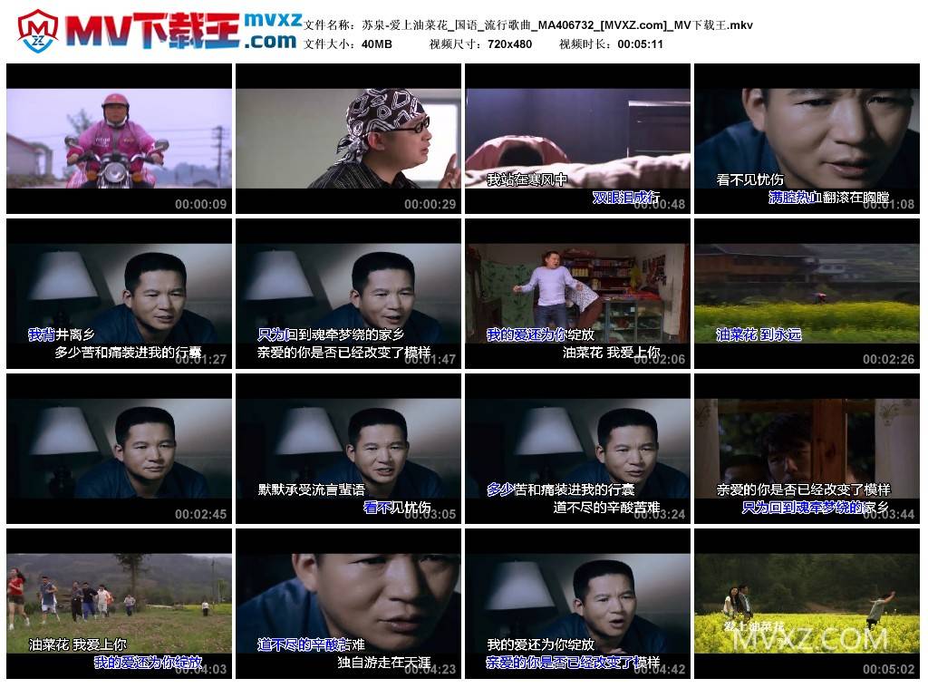 苏泉-爱上油菜花_国语_流行歌曲_MA406732